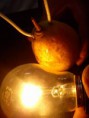/album/photogallery/a1475925-551840694884882-1666558571-n-jpg1/