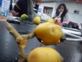 /album/photogallery/a524742-551840641551554-1650898647-n-jpg1/