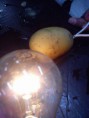 /album/photogallery/a1441336-551840458218239-883373039-n-jpg1/